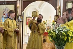 IMG_2117.HEIC-scaled