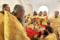 IMG_2119.HEIC-scaled